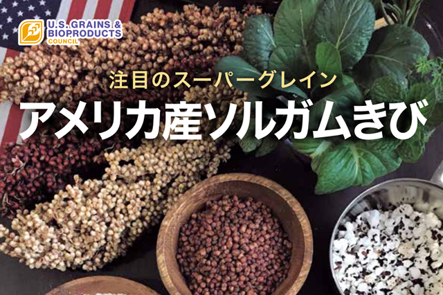 アメリカ産ソルガムきびのリーフレットが改訂されました。