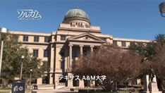 テキサスA&M大学