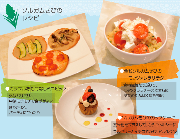 ソルガムきびのレシピ