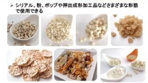 アメリカ最新トレンド&食品技術セミナー アメリカで注目されるスーパーグレイン ソルガムきびについて講演