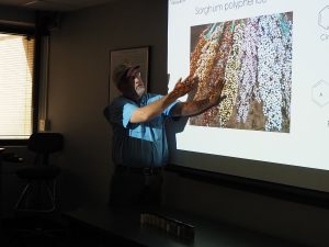 ソルガムきびに関する最新の研究について（テキサスA＆M大学）